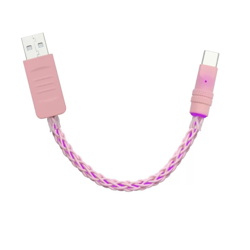 Cáp sạc USB Type C 25cm - Có RGB đổi màu - Hỗ trợ sạc nhanh 22.5W - Phù hợp decor setup