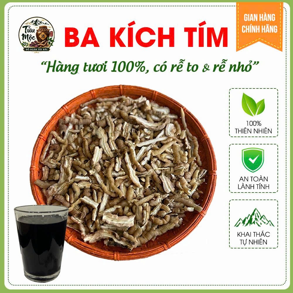 Ba kích tím Tửu Mộc Đồ Ngâm Tây Bắc ba kích ngâm tửu ba kích tươi đã được tách lõi rửa sạch bao gồm cả rễ to và rễ nhỏ