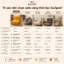 SOFEEE Ghế sofa lười công thái học hỗ trợ cột sống lưng nhiều màu