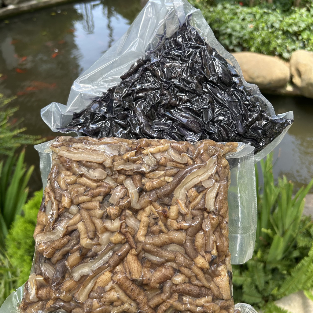 Ba kích tím Tửu Mộc Đồ Ngâm Tây Bắc ba kích ngâm tửu ba kích tươi đã được tách lõi rửa sạch bao gồm cả rễ to và rễ nhỏ