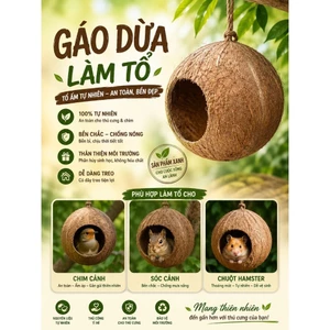 Gáo dừa thô - Gáo tổ chim, tổ sóc...