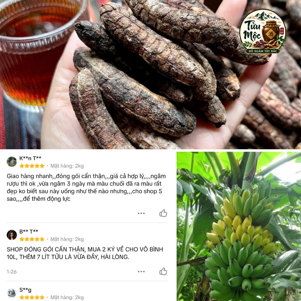 Chuối hột khô Tửu Mộc Đồ Ngâm Tây Bắc chuối hột rừng ngâm tửu chuối hột sấy khô nguyên quả