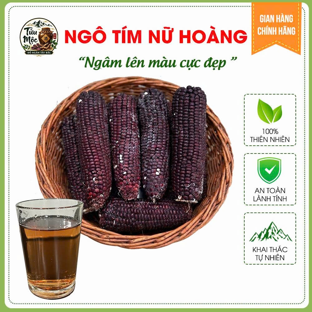 Ngô nếp tím nữ hoàng Tửu Mộc Đồ Ngâm Tây Bắc ngô nếp tím Tây Bắc đã được sơ chế chỉ việc ngâm