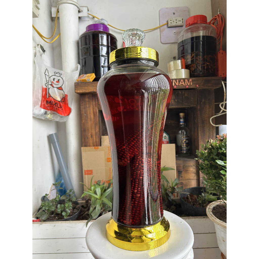 Ngô nếp tím nữ hoàng Tửu Mộc Đồ Ngâm Tây Bắc ngô nếp tím Tây Bắc đã được sơ chế chỉ việc ngâm