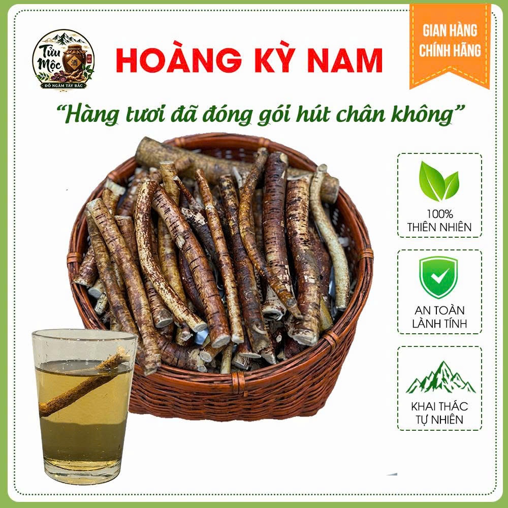 Hoàng kỳ nam 5 lá sẻ Tửu Mộc Đồ Ngâm Tây Bắc Hoàng kỳ nam tươi rễ già đã được làm sạch chỉ việc ngâm
