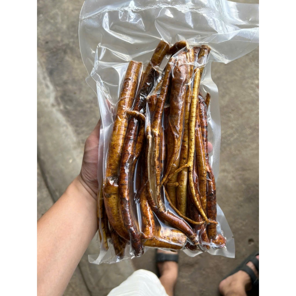 Hoàng kỳ nam 5 lá sẻ Tửu Mộc Đồ Ngâm Tây Bắc Hoàng kỳ nam tươi rễ già đã được làm sạch chỉ việc ngâm