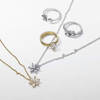 Dây Chuyền Pandora Timeless Mặt Hoa 6 Cánh Đá Trong Suốt size 45cm - Sparkling Herbarium Cluster Pendant Necklace