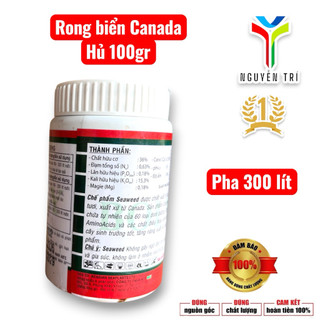 Seaweed 95% Rong biển Canada hủ 100gr của Boly, 1 hủ pha 300 lít nước