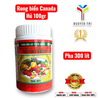 Seaweed 95% Rong biển Canada hủ 100gr của Boly, 1 hủ pha 300 lít nước