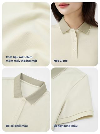 Áo Polo Nữ YODY vải Mắt Chim Cổ Phối Bo Co Giãn Thông Thoáng WCPO26A052