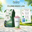 Trà Oolong Ngọc Lan 500g/100g hương Ngọc lan ngọt dịu thanh - Dùng Pha Trà Sữa, Trà Me, Trà Trái Cây