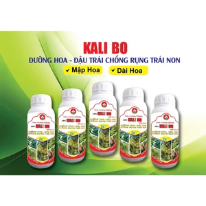 PBL DƯỠNG HOA ĐẬU TRÁI (SẦU RIÊNG) CON BƯỚM VÀNG
