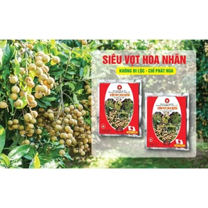 PBL - Siêu vọt hoa Nhãn <Kích thích - Tăng tỷ lệ - Cây khoẻ - Hạn chế rụng bông>