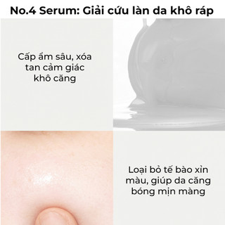Tinh chất căng bóng NUMBUZIN No.4 Ceramide AHA Glazed Skin Prep Serum tẩy tế bào chết, sáng da, se lỗ chân lông 30ml