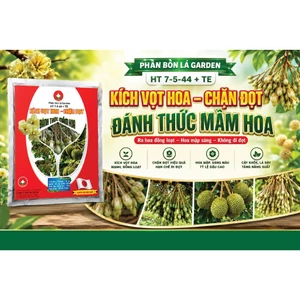 PBL -Kích vọt hoa sầu riêng ( Đánh thức mầm hoa)