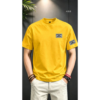 Áo Thun Nam Chepol Cao Cấp, In Chữ EXCELLENT , Áo Phông Nam Chất Cotton, Co Giãn, 2 Chiều, Có Bigsize 120kg-CP_24439