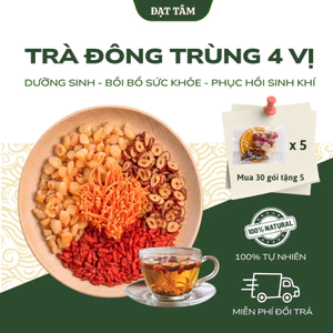 Trà Đông Trùng 4 Vị Thảo Mộc - Giảm Mệt Mỏi, Thư Giãn, Hỗ Trợ Hồi Phuc Thể Trạng | Đạt Tâm