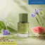 Nước hoa Matcha Ceremonial Kira 50ml | Nước hoa mùi trà | Nước hoa Unsiex | Nước hoa mùa hè | dailyscent