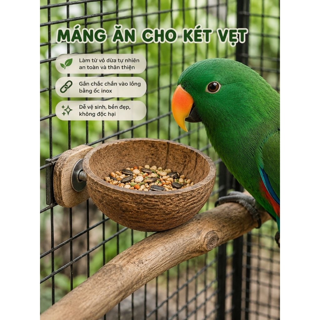 Gáo dừa dùng làm máng ăn cho két, vẹt...ã qua xử lý phần xơ dừa