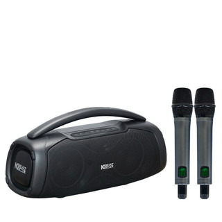 LOA KARAOKE ACNOS CHILL CÔNG SUẤT 120W có app điều chỉnh âm thanh echo delay reverb 2 micro tại audio viet nam store