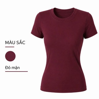 Áo Thun Nữ SUSU Cotton Cổ Tròn Co Giãn 4 Chiều, Form Ôm Body Thắt Eo Tôn Dáng, Áo Basic Tay Ngắn Cao Cấp