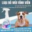 Xịt khử mùi thú cưng, khử mùi chó mèo, loại bỏ mùi hôi, tẩy mùi nước tiểu và phân, làm sạch không khí