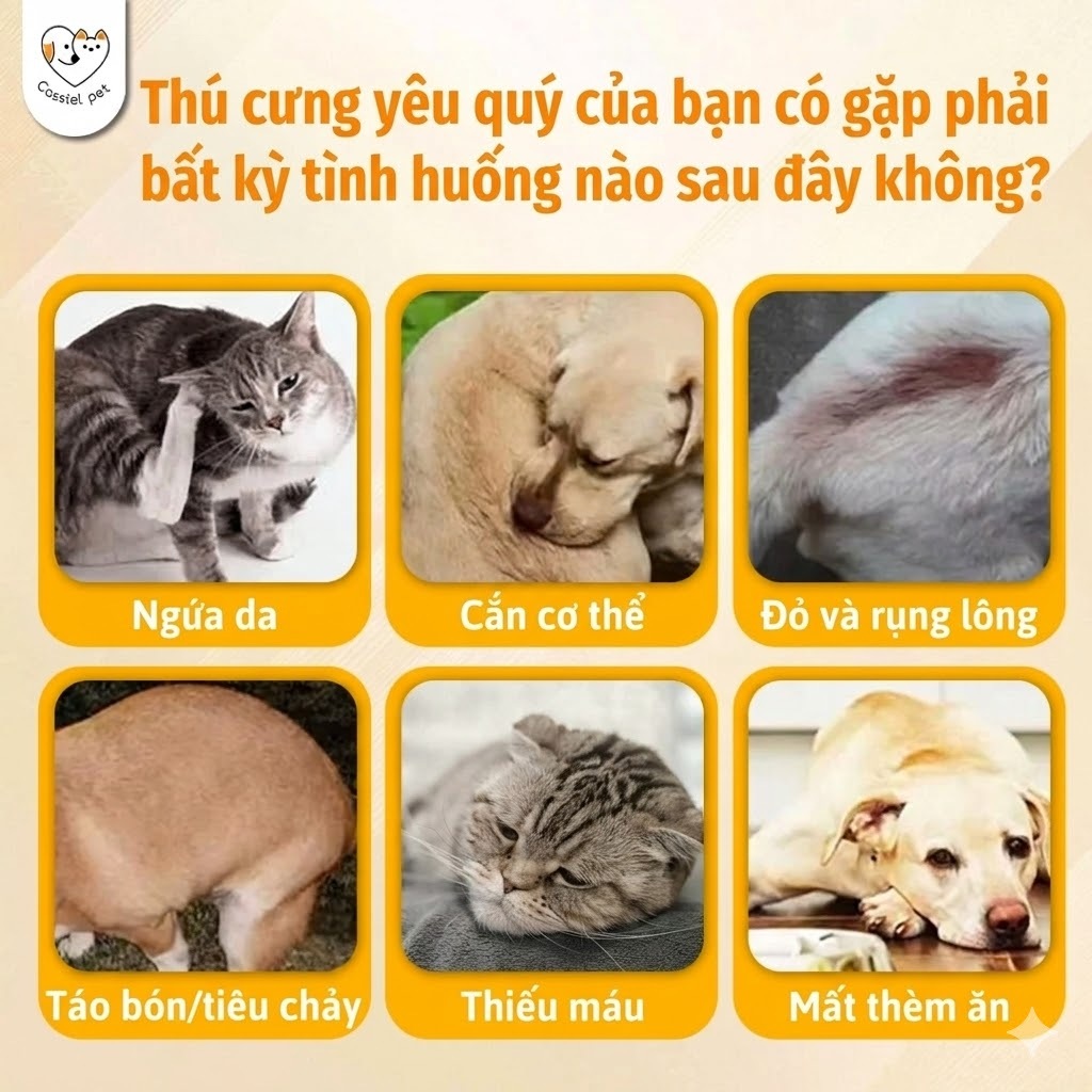 Cassiel Pet Xịt Ve Rận, Bọ Chét, Ghẻ Cho Chó Mèo - An Toàn, Hiệu Quả, Diệt Sạch Ký Sinh Trùng Trên Da Và Môi Trường