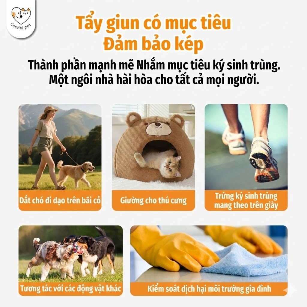 Cassiel Pet Xịt Ve Rận, Bọ Chét, Ghẻ Cho Chó Mèo - An Toàn, Hiệu Quả, Diệt Sạch Ký Sinh Trùng Trên Da Và Môi Trường