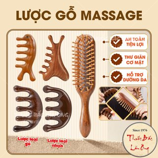 Lược massage gỗ cao cấp thư giãn da đầu, cổ vai gáy, giảm tĩnh điện bảo vệ tóc mềm mượt