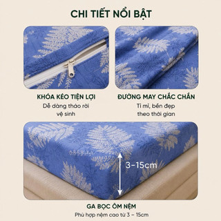 Bộ Ga Gối Cotton Thắng Lợi 4 Món Aniva Bedding Size 1m8 x 2m | Cotton Chính Hãng
