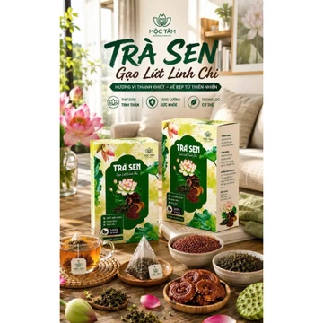 Combo 02 Hộp Trà Sen Gạo Lứt Linh Chi Hương Sen Thanh Khiết - Trà Thảo Mộc Thơm Dịu, Dễ Pha, Tiện Dùng