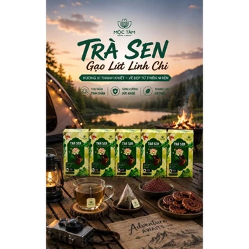 Combo 05 Hộp Trà Sen Gạo Lứt Linh Chi Premium - Trà Thảo Mộc Hương Sen Dịu Nhẹ, Gạo Lứt Rang Thơm, Lựa Chọn Tiết Kiệm