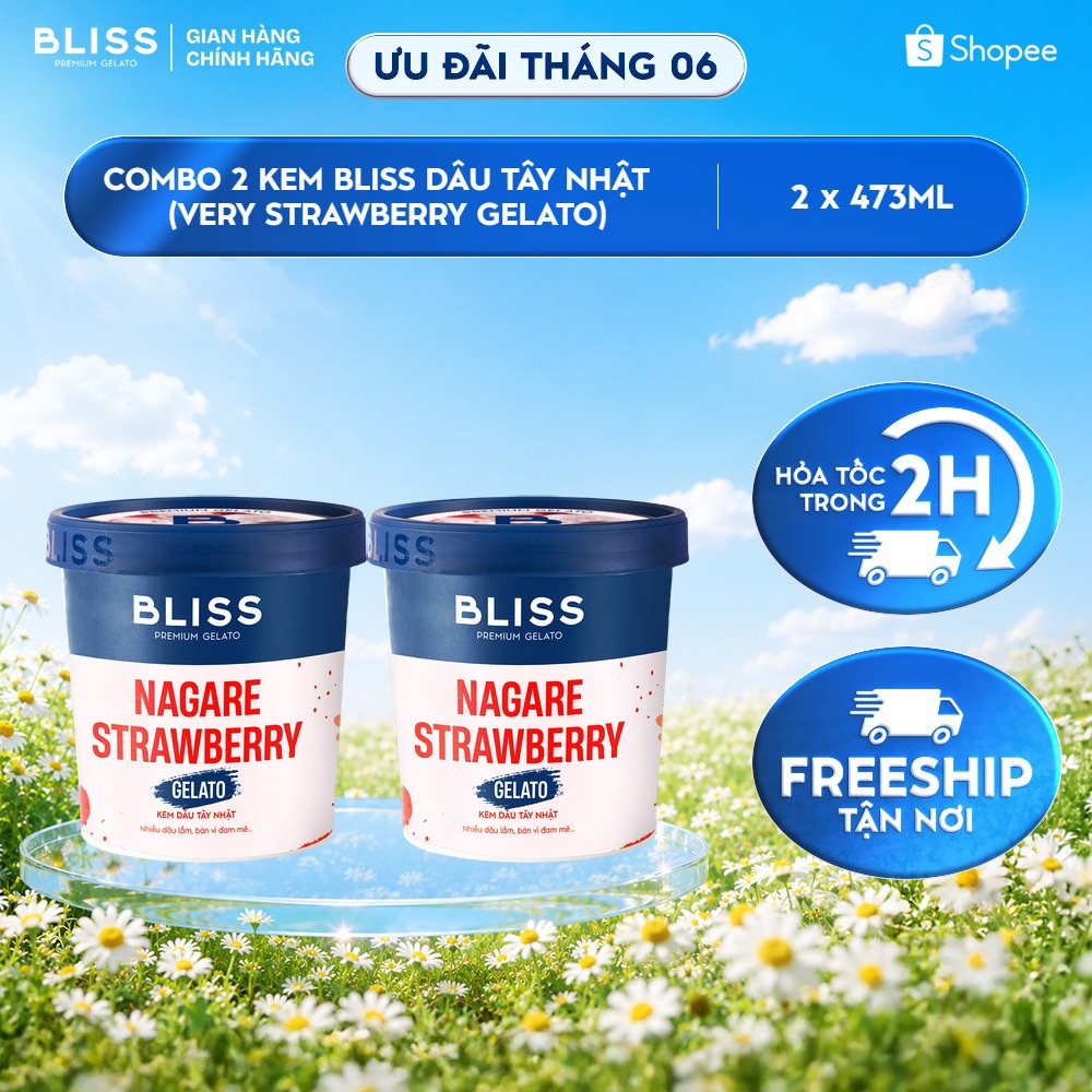 [Hỏa tốc HN/HCM] Combo 2 Kem BLISS Nhiều Vị Hộp 473ml
