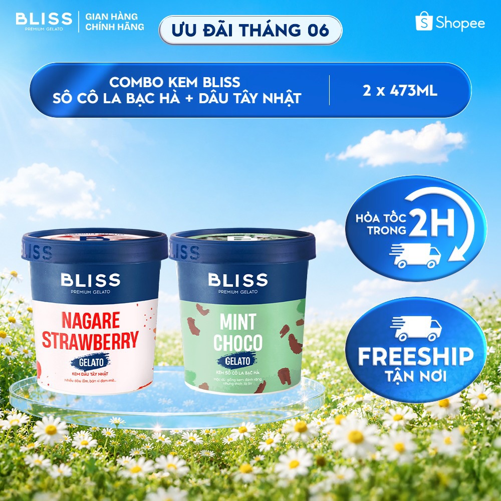[Hỏa tốc HN/HCM] Combo 2 Kem BLISS Nhiều Vị Hộp 473ml