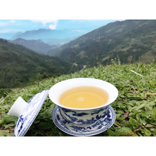 Trà xanh shan tuyết cổ thụ Cao Bồ - Tây Côn Lĩnh 1 búp 1 lá