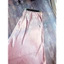 Chân váy lụa satin hồng QCCC