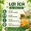 Trà Túi Lọc Kim Tiền Thảo Râu Ngô Mã Đề Nguyên Chất 30 Túi Lọc Hương Vị Thanh Mát Dễ Uống