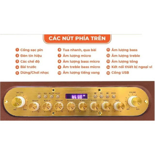 NEW 2026 | Loa Karaoke Xách Tay JB F9 PRO – 2 Bass 20cm Siêu Trầm, Kèm 2 Micro UHF Chống Hú.