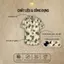 Áo Sơ Mi Lụa Họa Tiết Hoa Dã Quỳ, Cuban Shirt Chất Lụa Tuyết Mềm Mịn, Thoáng Mát, Thấm Hút, Chống Nhăn - Size 50-100kg