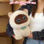 BST Gấu Bông Mèo Dễ Thương 25cm, 35cm – Mèo Đen, Mèo Tam Thể, Mèo Xiêm, Mèo Nâu Cao Cấp Siêu Mềm Mịn