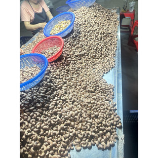 Hạt Điều Rang Muối Giòn Ngon Hộp 500G| Kim An Minh Food