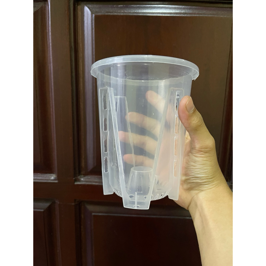 chậu trồng cây trong suốt cho cây trong nhà , anthurium và kiểng lá