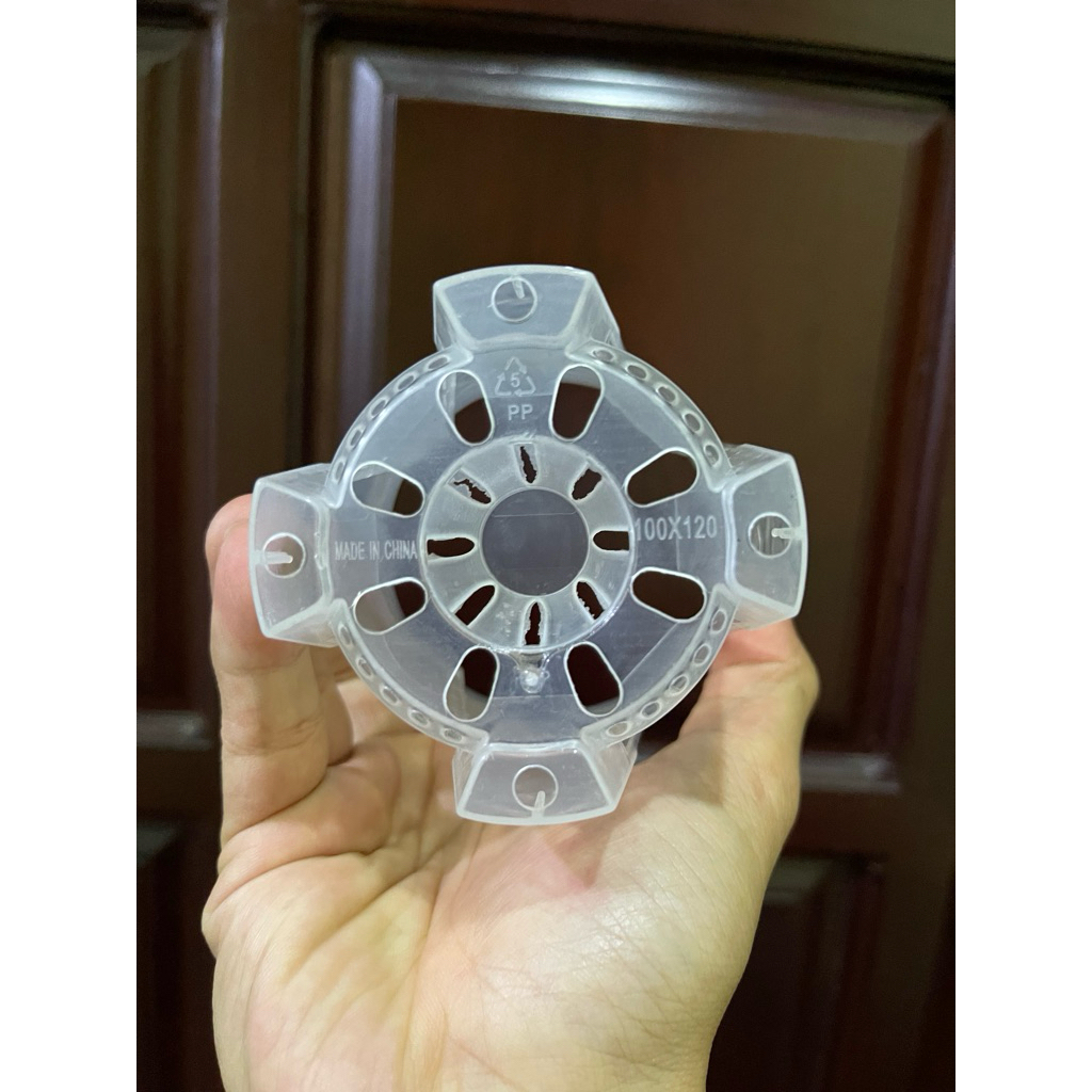 chậu trồng cây trong suốt cho cây trong nhà , anthurium và kiểng lá