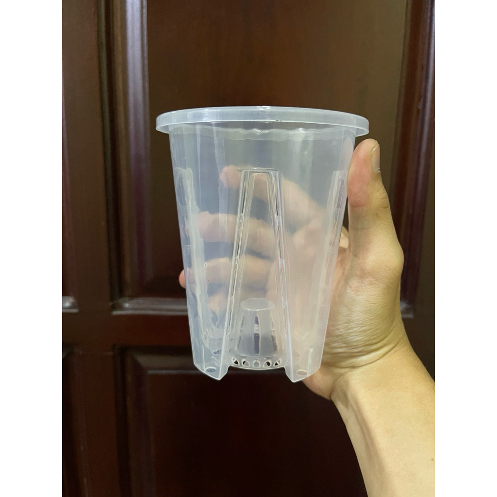 chậu trồng cây trong suốt cho cây trong nhà , anthurium và kiểng lá