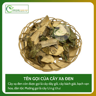1kg CÂY XẠ ĐEN HOÀ BÌNH (Cây Dây Gối) Điều T.r.ị U.n.g T.h.ư, Gan Nhiễm Mỡ | Dược liệu Thanh Loan