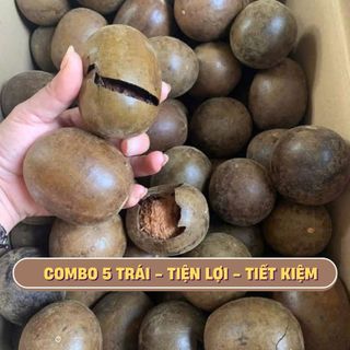 Combo 5 Quả La Hán Quả Khô Thanh Nhiệt Bổ Phế - Quả La Hán Sấy Khô Nguyên Trái Tự Nhiên-Thanh Lọc cơ thể, giảm stress
