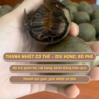 Combo 5 Quả La Hán Quả Khô Thanh Nhiệt Bổ Phế - Quả La Hán Sấy Khô Nguyên Trái Tự Nhiên-Thanh Lọc cơ thể, giảm stress