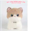 Gấu Bông Mèo Dễ Thương 25cm, 35cm – Bộ Sưu Tập Mèo Đen, Mèo Tam Thể, Mèo Xiêm, Mèo Nâu Siêu Mềm
