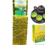 Chè Tân Cương Thượng Hạng TC1-500gram