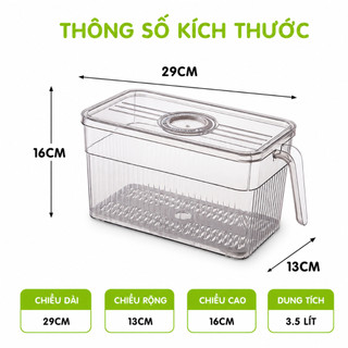 Hộp Lạnh Đựng Hoa Quả Để Tủ Lạnh Có Tay Cầm GD118 - Hộp Đựng Thực Phẩm Tủ Lạnh Có Khay Tách Nước
